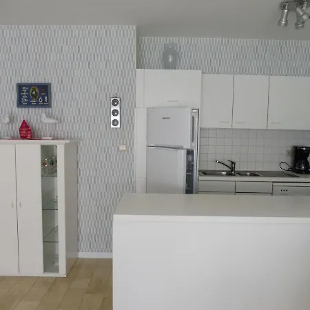 Gabbiano De Witte Meeuw